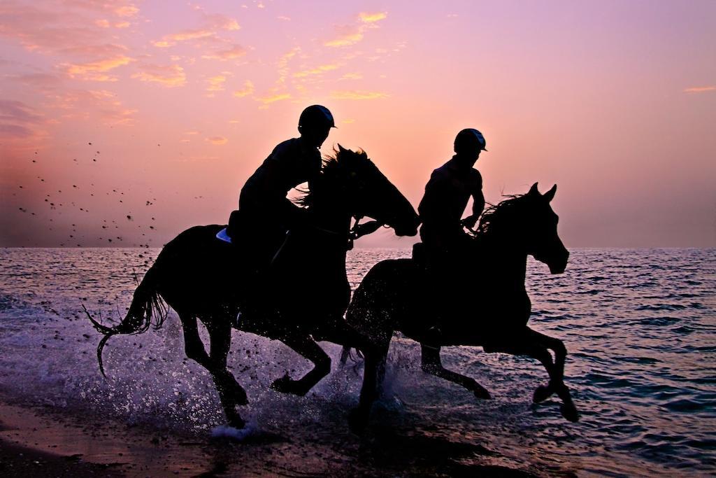 Anantara Sir Bani Yas Island Al Sahel Villas Zahr Eksteriør billede